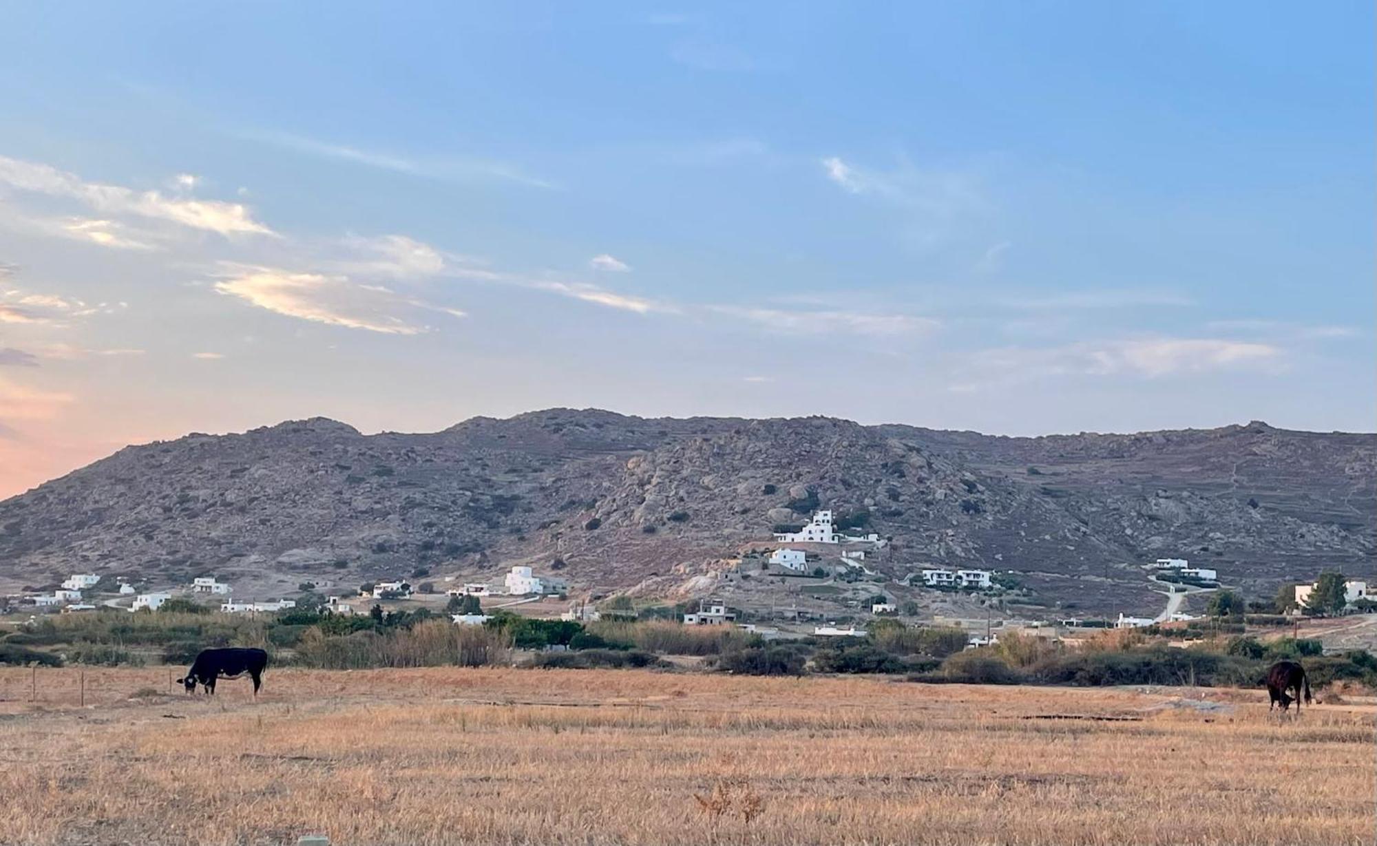 Plioni Villas & Suites Mikrí Vígla Szoba fotó